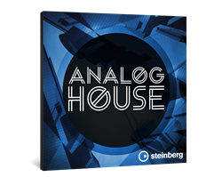 Steinberg Analog House