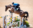 A believer and the horse of a lifetime: Stephan Barcha steps into the Olympic showjumping ring. FEI press release