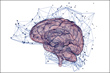 Salimetrics Supports Adolescent Brain Cognitive Development (ABCD) Study with Salivary Bioscience