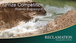 Title slide for burrowing rodent prize competition.