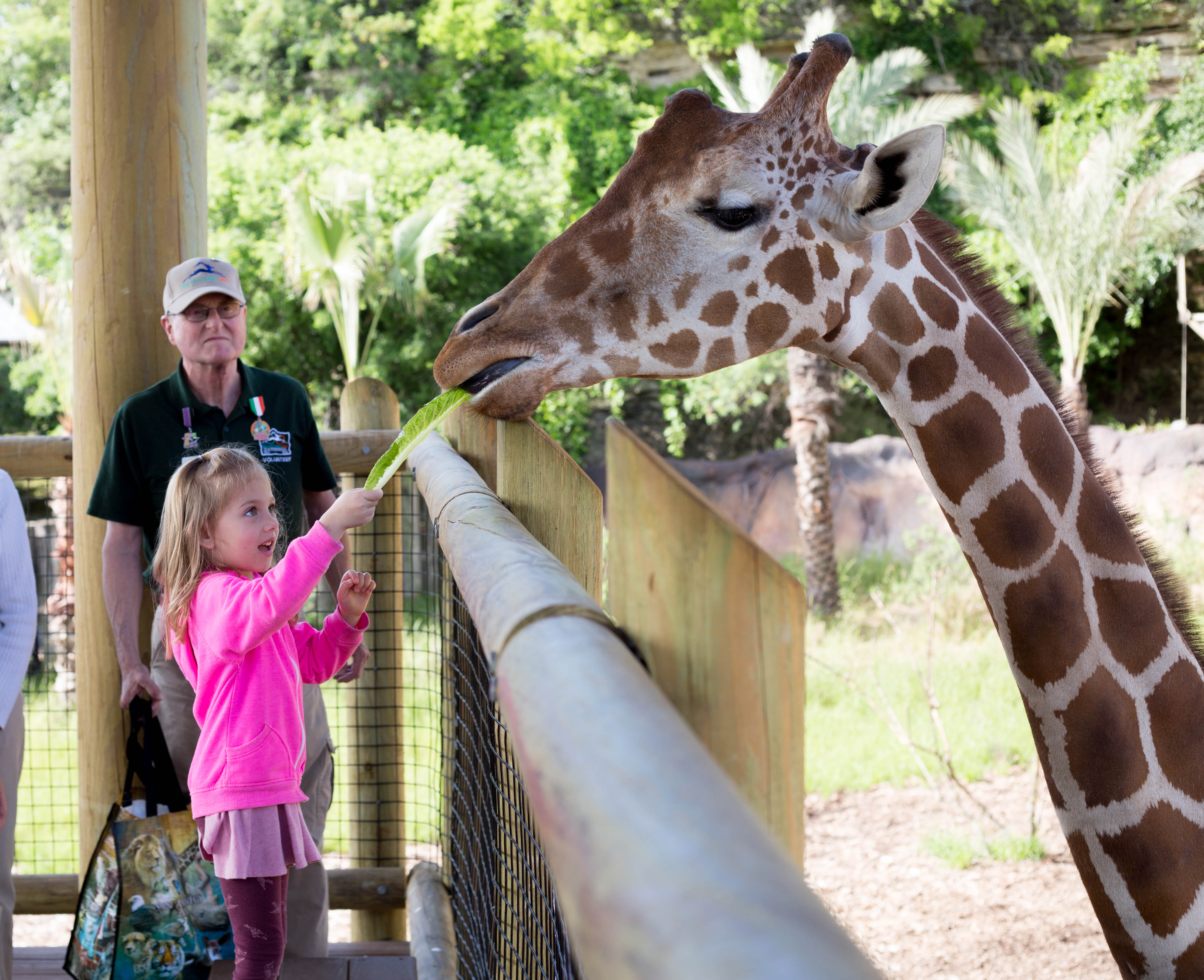 Parents Magazine Names San Antonio Zoo One of the Top Kid-Friendly Zoos