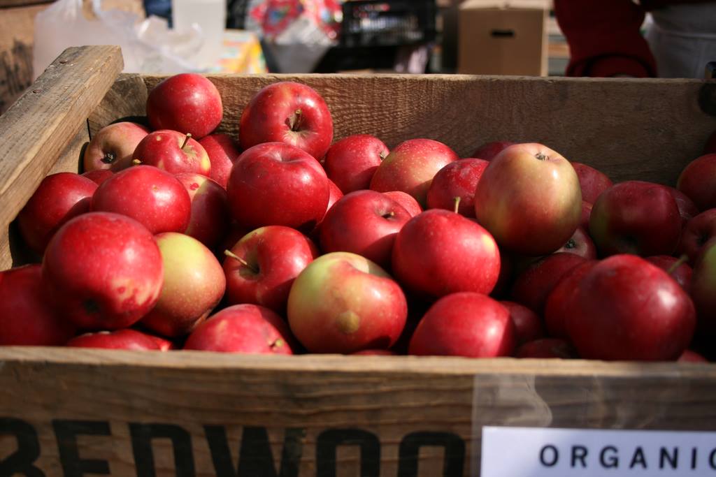 GoBRT’s Picks the Top September Apple Picking and Festivals for the