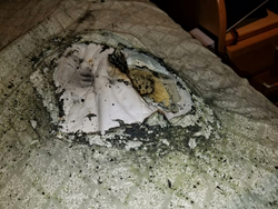 Michael Taylor's burned bed