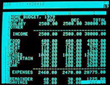 Early screenshot of VisiCalc budgeting spreadsheet, circa 1979.