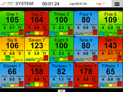 Heart Zones System Big Board Data Display
