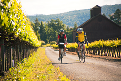 Cycling in California's Napa Valley Wine Country