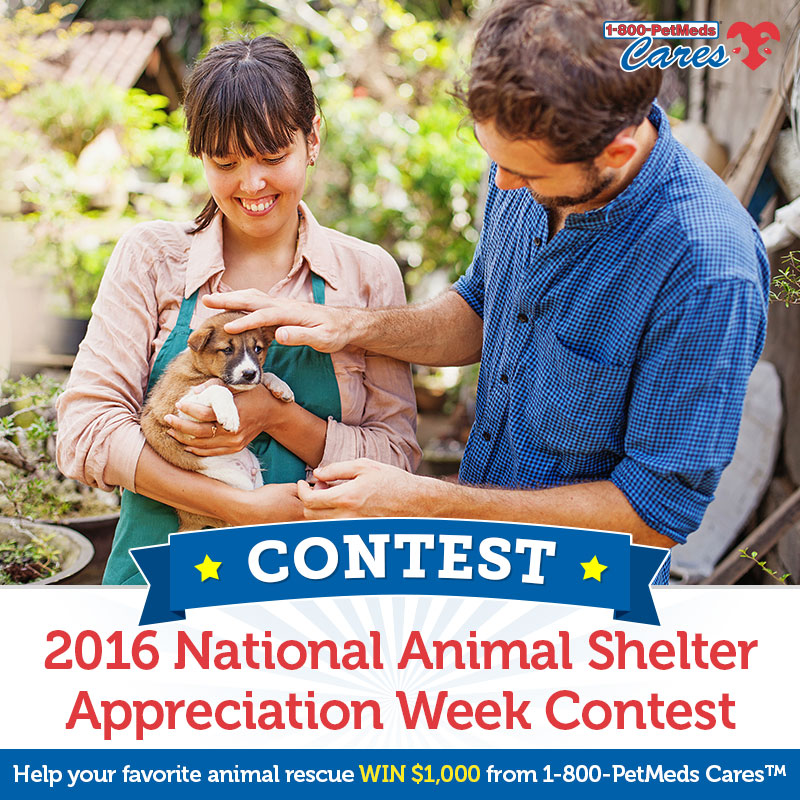 1-800-PetMeds Cares’™ Third Annual National Animal Shelter Appreciation