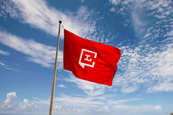 Lewis Communications Flag