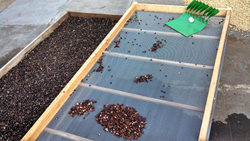 Crimson Cup assists in building solar dryers for Peruvian coffee farmers