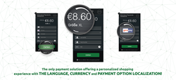 Local Payment Options Checkout - Payment Widget