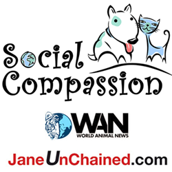 Champions for Change, which supports Social Compassion and its media partners, World Animal News and Jane UnChained.
