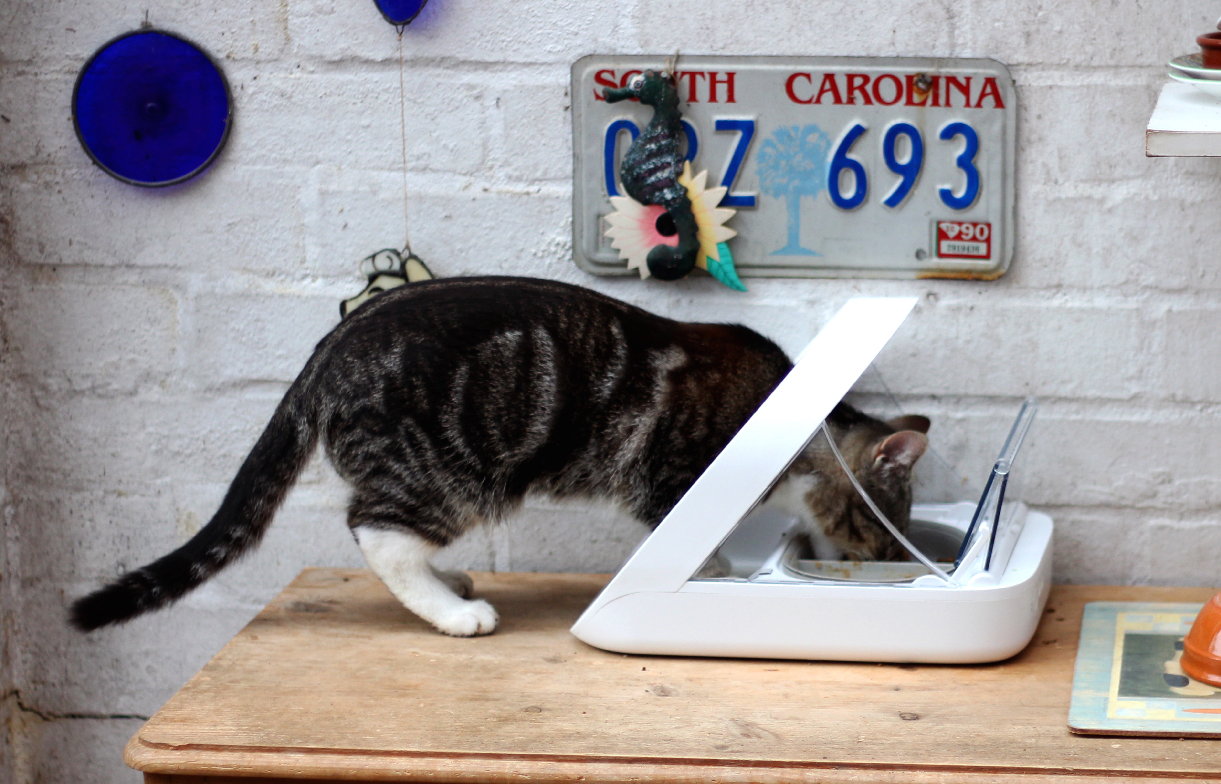 SureFlap’s® New Surefeed Sealed Pet Bowl And The Original SureFeed