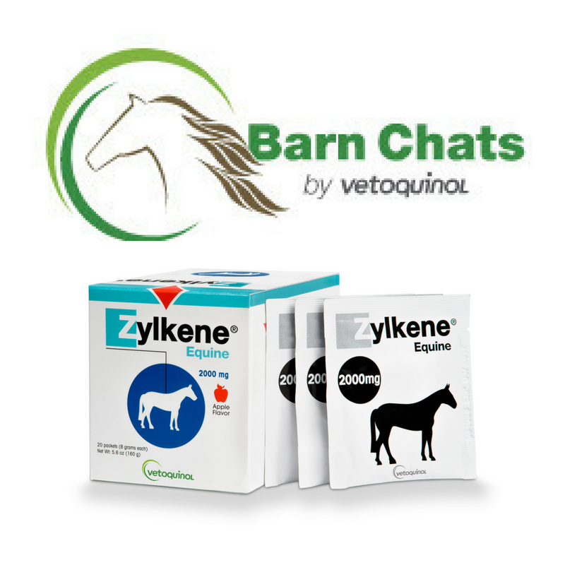 Vetoquinol USA Launches Online Horse Health Community Through New Barn