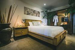Ayahuasca Luxury Retreats