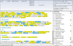 MediSapien NLP application user interface, illustrating the volume of structured data generated by MediSapien NLP. NLP: natural language processing.