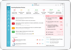Workboard Running Business Review (TM) on iPad