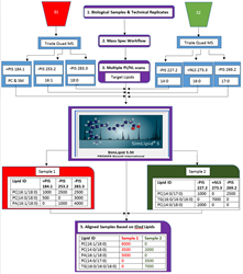 Schematic representation of the lipid profiling and quantitation workflow of SimLipid software using data from MPIS/NLS QqQ MS method