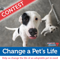 1-800-PetMeds Cares™ 2017 Change a Pet's Life Contest