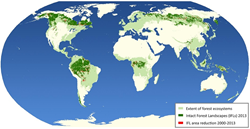 Map showing the reduction in areas around the world designated as intact forest landscapes.