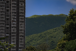 1st Prize by Tucker Reiland: The Forest Retreats, For Now...