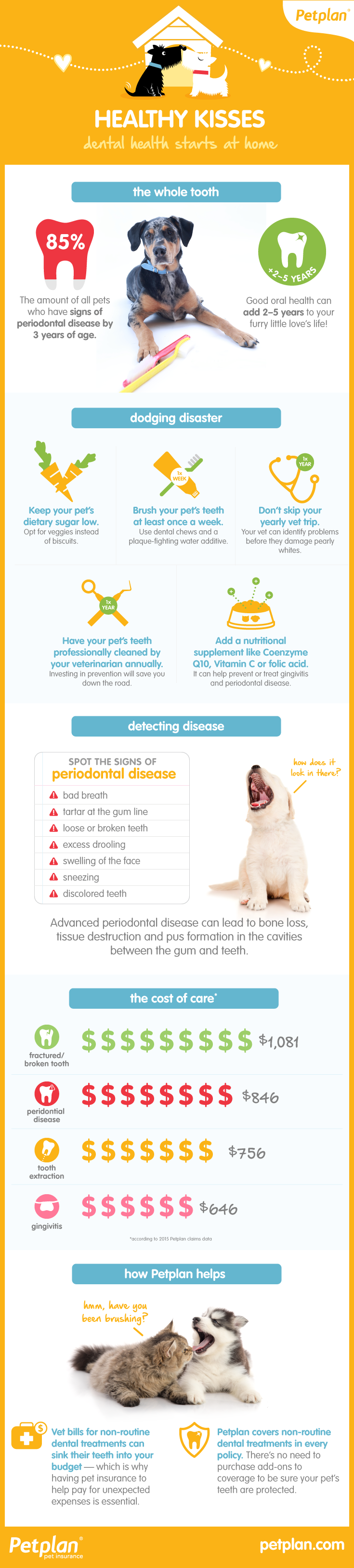 Petplan Launches Healthy Kisses Campaign during National Pet Dental