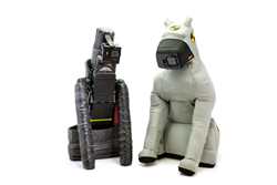 DUKE 2.0 - a Crash Test Dog with New Instrumentation & Better Biofidelity