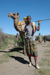 Resilience intervention provided help with livestock management and ultimately helped households to stay better nourished even throughout the drought cycle.