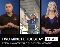 Two Minute Tuesday Video Tips