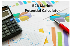 B2B Market Potential Calculator