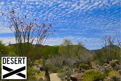 Desert X International Art Exhibition