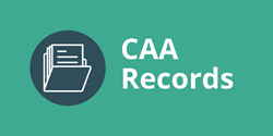 Constellix CAA Records