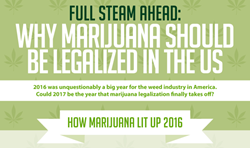 Marijuana legalization int the US