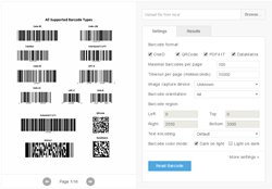 Dynamsoft Barcode Reader 5.0 SDK Web Decode Options