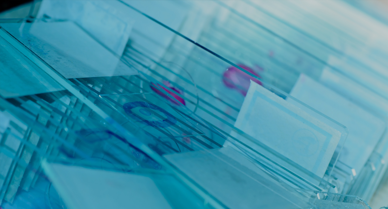 Inspirata Announces the Completion of the Largest Ever SingleSite