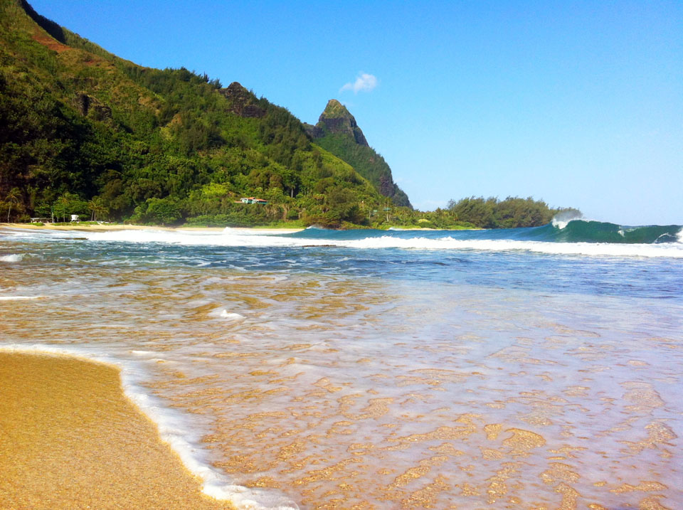 Ahh Aloha Kauai Vacation Rentals Several of Nature's