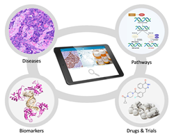 Illustration of Precision Medicine Decision Support Tool
