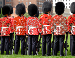 Spoonflower reimagines British Guard uniforms
