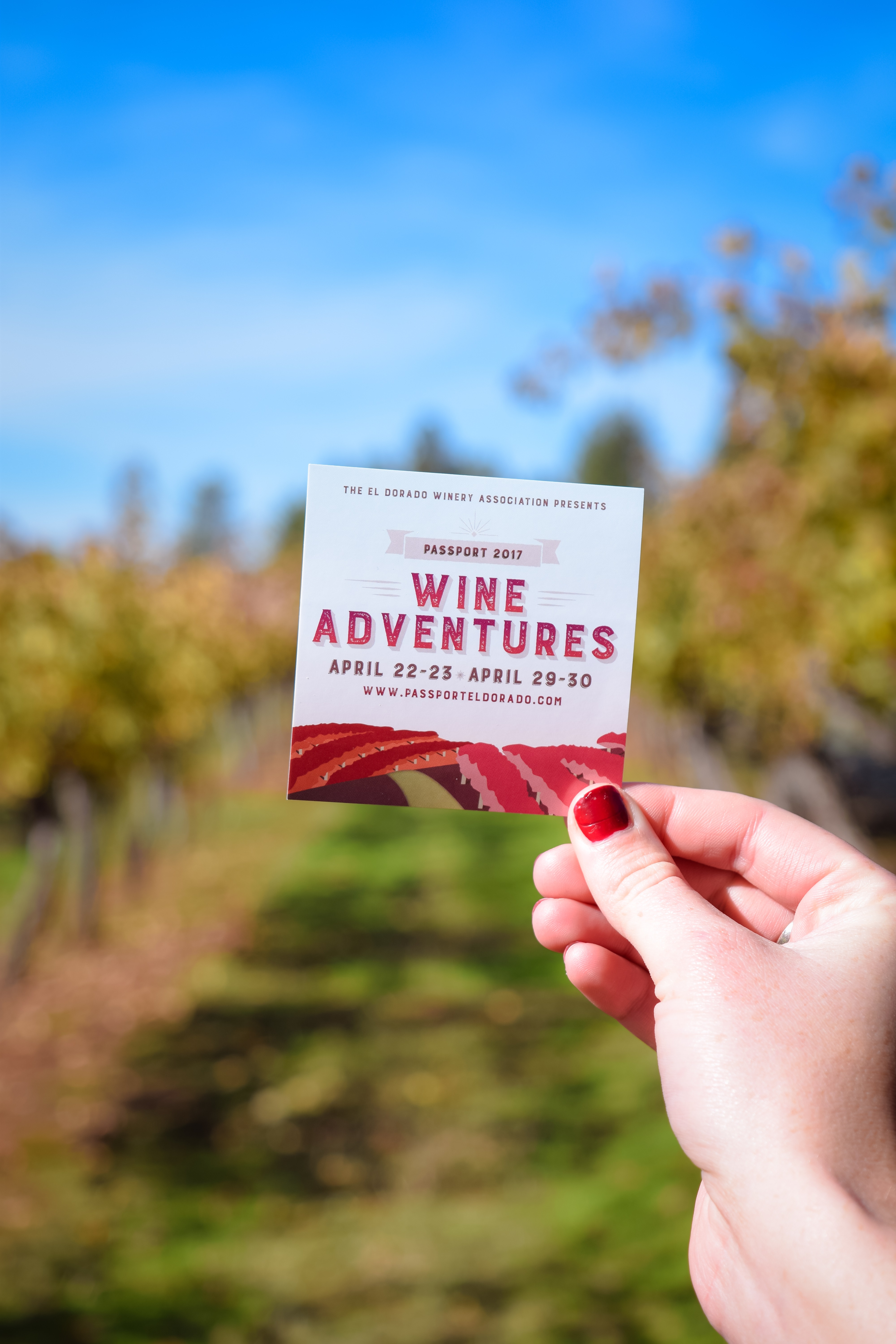 Passport Weekend Offers OneOfAKind Wine Tasting Adventure In El