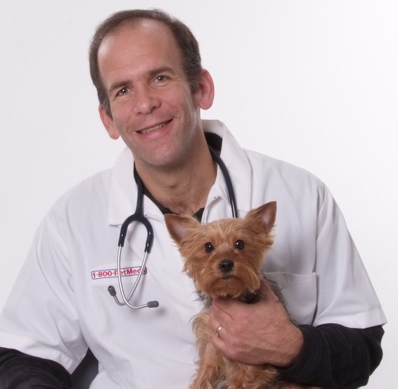 1 800 PetMeds Releases 10 Questions Your Veterinarian Wants You To Ask