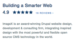 4.9/5 Star Rating on Clutch for Top Drupal Development Agency