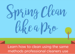 Spring Clean Like a Pro - Microfiber Wholesale Infographic