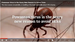 Ticks pose a new threat spreading the life threatening Powassan Virus as well as Lyme Disease. 100% Organic Tick Control will keep ticks out of outdoor living and play spaces