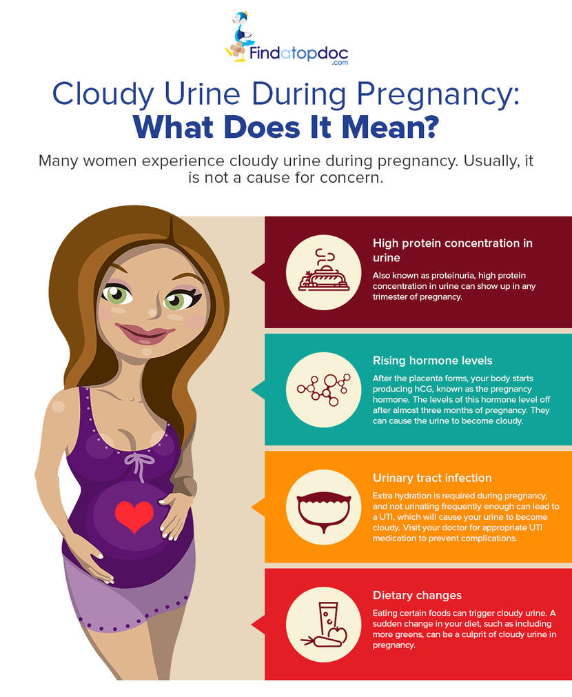 Cloudy Urine Female In The Morning Early Pregnancy