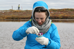Alcoa employee collecting climate change-related data on Earthwatch's Canada-based project.