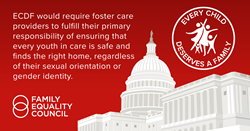 Every Child Deserves a Family Act - Family Equality Council