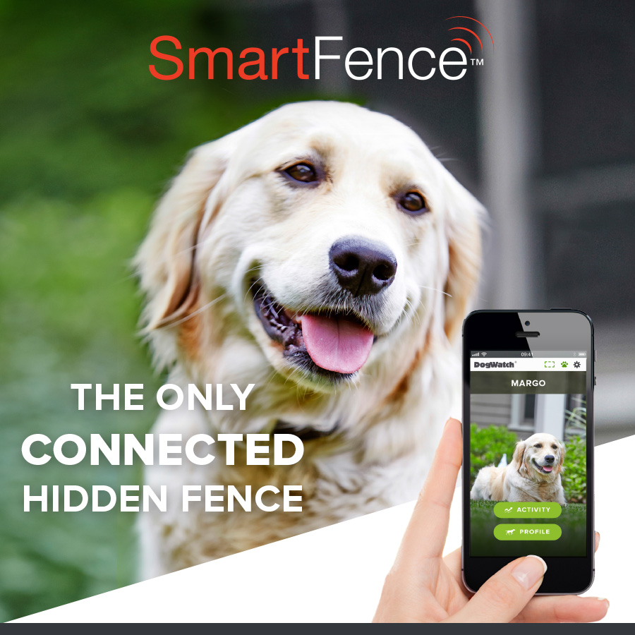 Introducing the SmartFence™, a New MobileOptimized Underground Pet