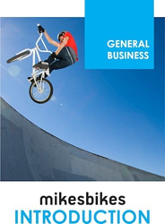 MikesBikes Business Simulation Game