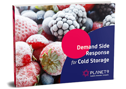 Demand Side Response for Cold Storage
