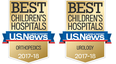 Joe DiMaggio Children's Hospital Ranked Among The Top 50 In U.S. News ...