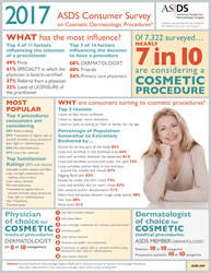2017 Consumer Survey Infographic